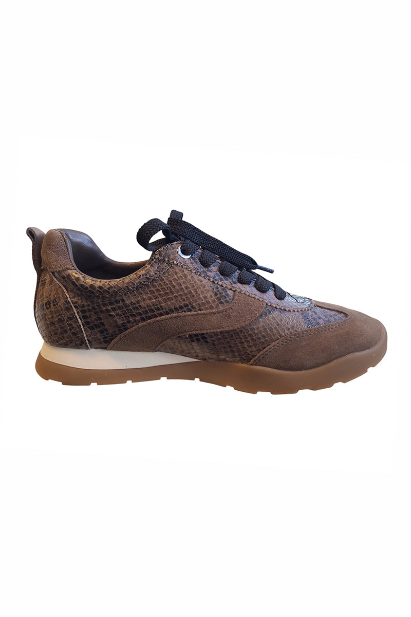 Divan boa sneakers