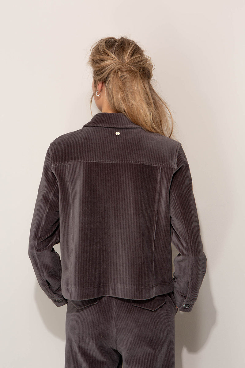 Jacket in jersey wide cord