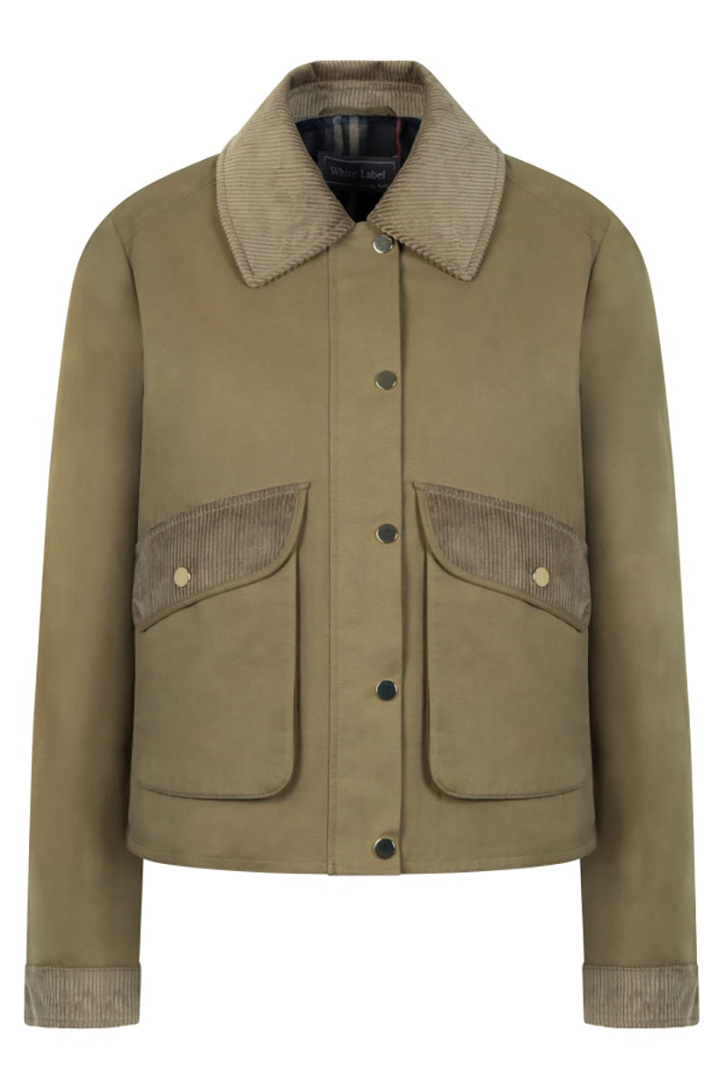 Cotton jacket with corduroy collar