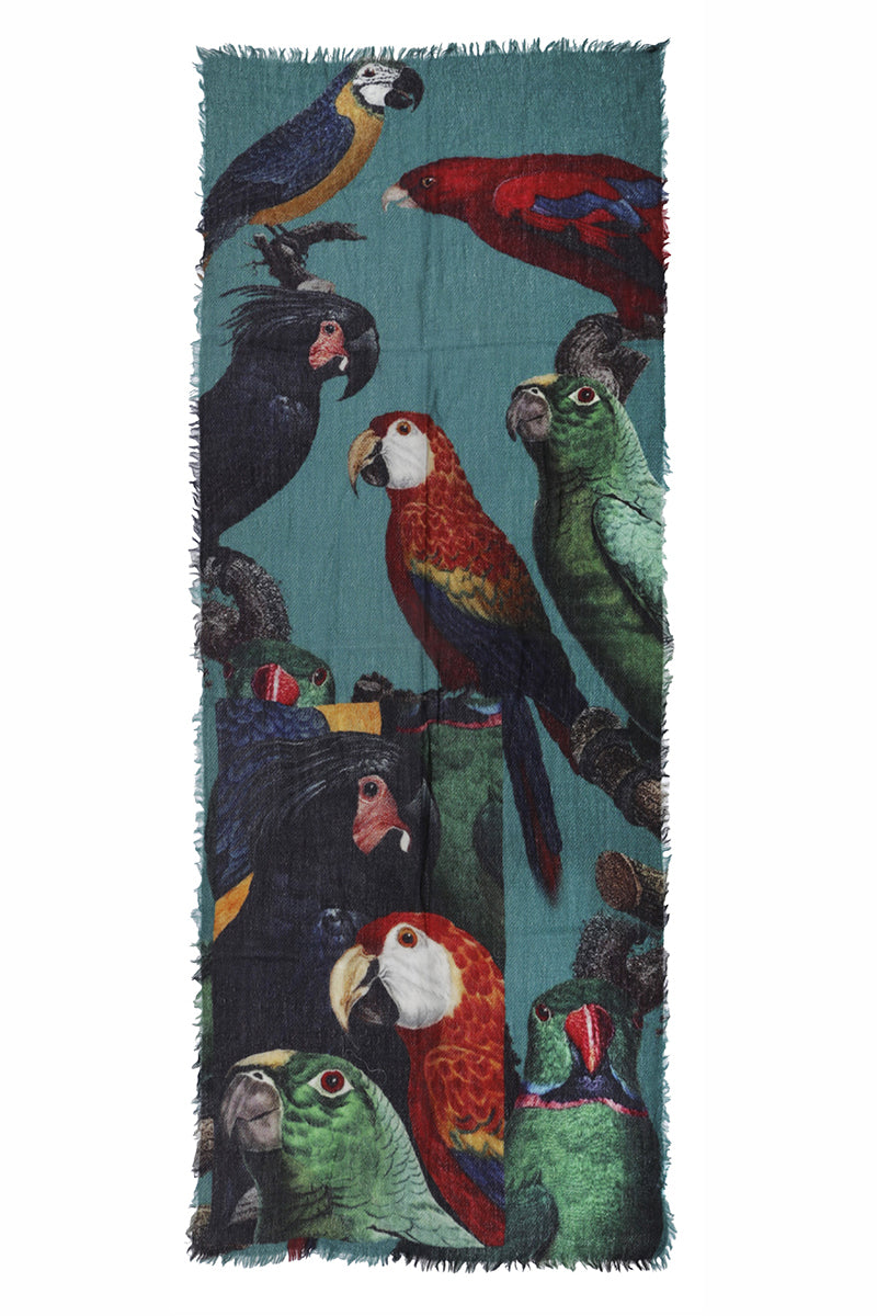 Scarf parrots