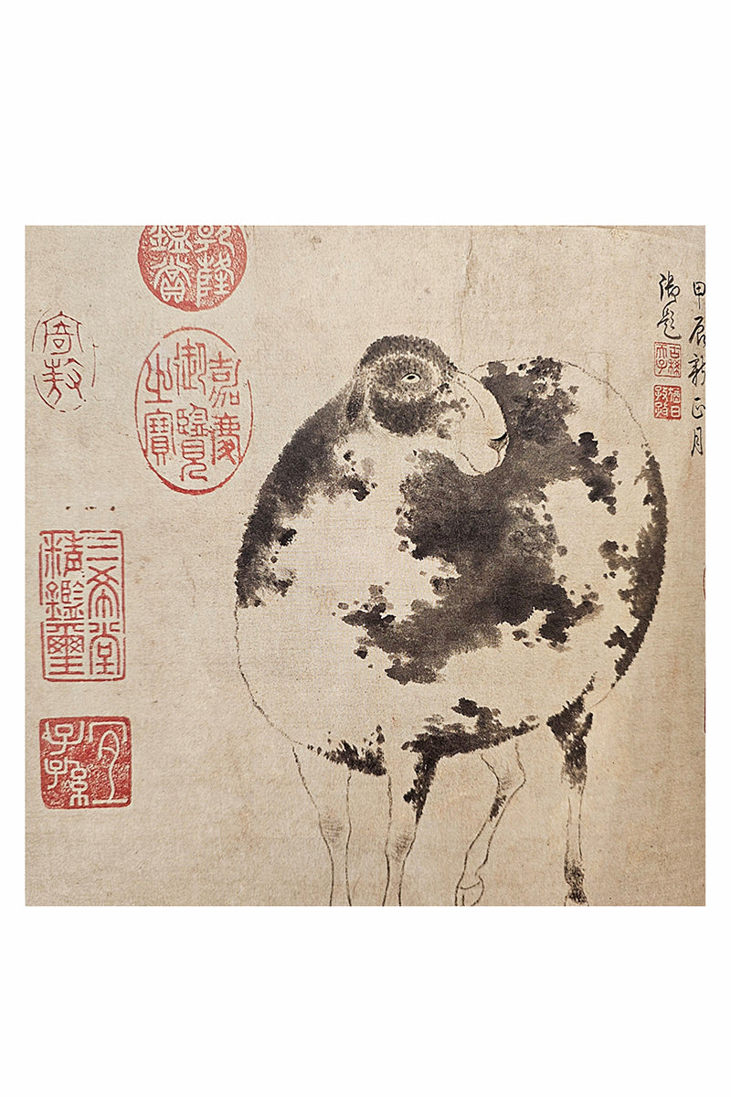 Double sided scarf lady