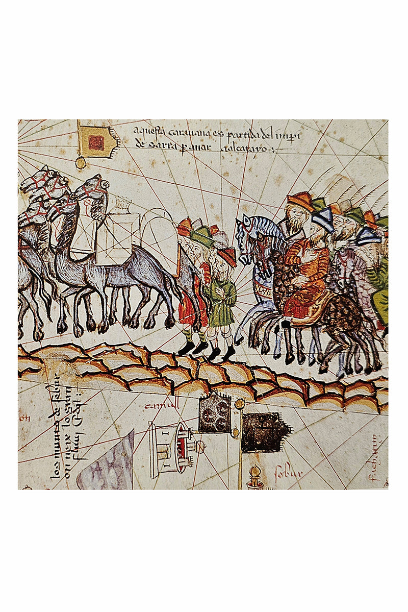 Double sided scarf travels