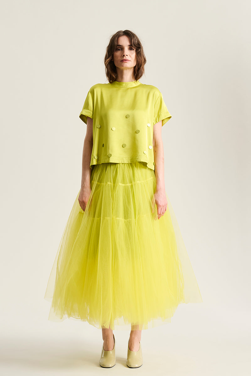 Cirque tulle skirt