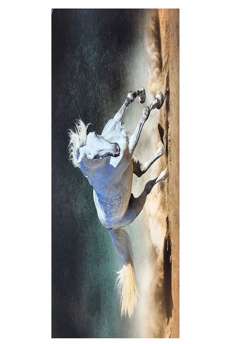 Double sided scarf horse