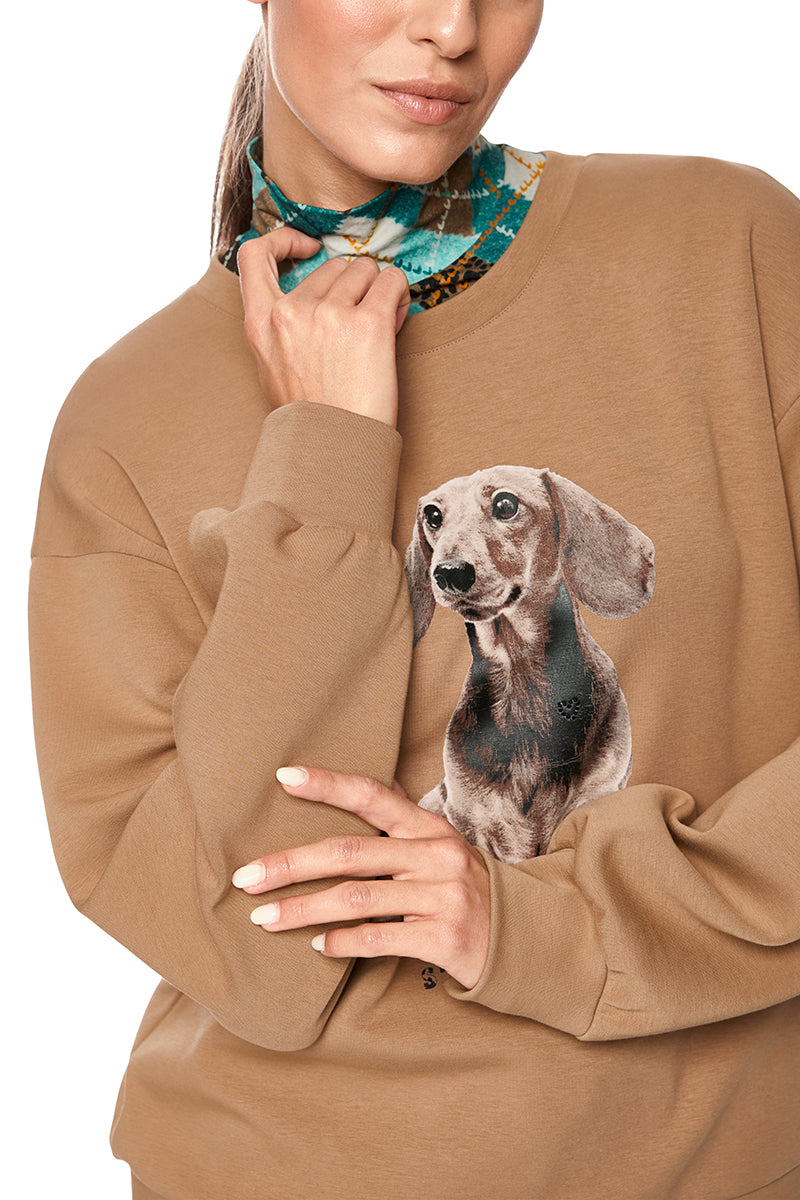 Sweatshirt with dachshund print