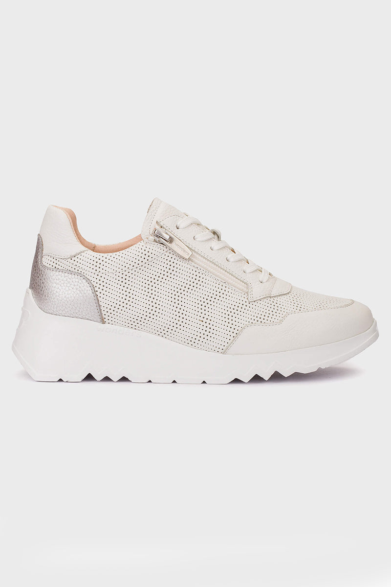 Kyoto 71 trainers
