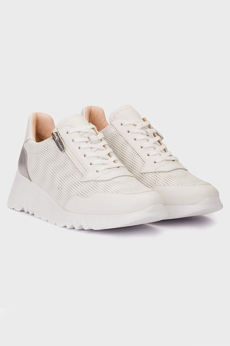 Kyoto 71 trainers